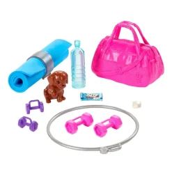 Bienestar Gimnasio^Barbie