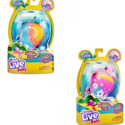 Tortugas Molonas S10^Little Live Pets