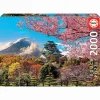 Puzzle 2000 Piezas Castillo De Osaka Japon^Educa Borras Best