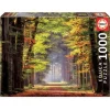 Puzzle Paseo Otonal 1000 Piezas^Educa Borras Sale
