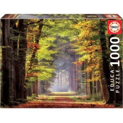 Puzzle Paseo Otonal 1000 Piezas^Educa Borras Sale
