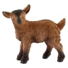 Figura Cabritillo^Schleich New
