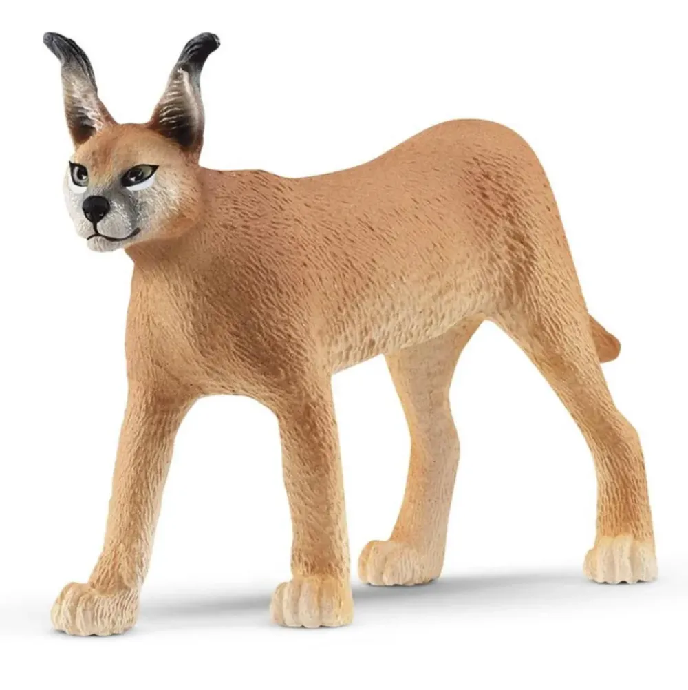 Figura Caracal Hembra^Schleich Hot