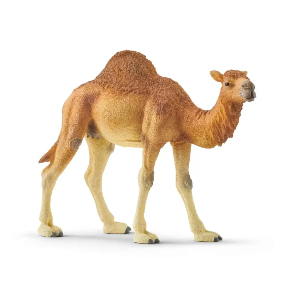 Figura Dromedario^Schleich New