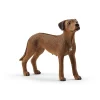 Figura Perro Crestado Rodesiano^Schleich Outlet