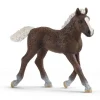 Figura Potro De La Selva Negra^Schleich Discount
