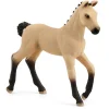 Figura Potro Hannoveriano Bayo^Schleich Sale