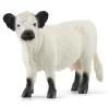 Figura Vaca Galloway^Schleich New
