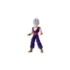 Son Gohan Beast Dragon Stars^Dragon Ball