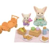Set De Picnichermanos Zorro Del Desierto^Sylvanian Families Clearance